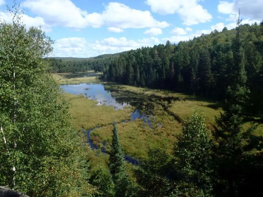 Beaver Pond Trail - Best Trails In Algonquin Park