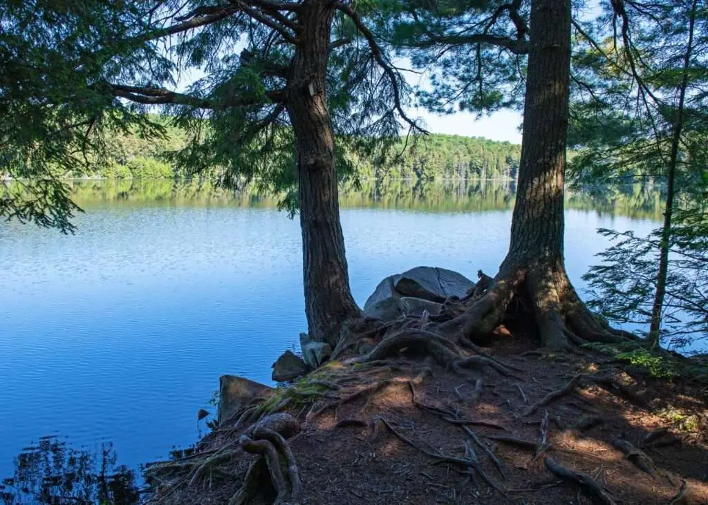 hiking trails in algonquin park