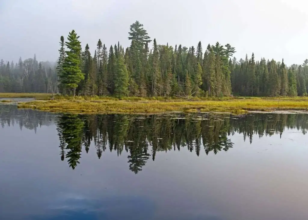 Mizzy Lake - algonquin park walking trails