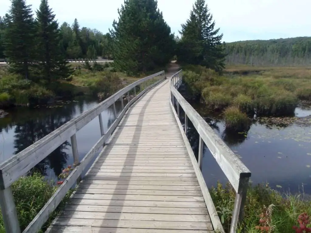 Spruce Bog Boardwalk - best hiking trails in Algonquin park