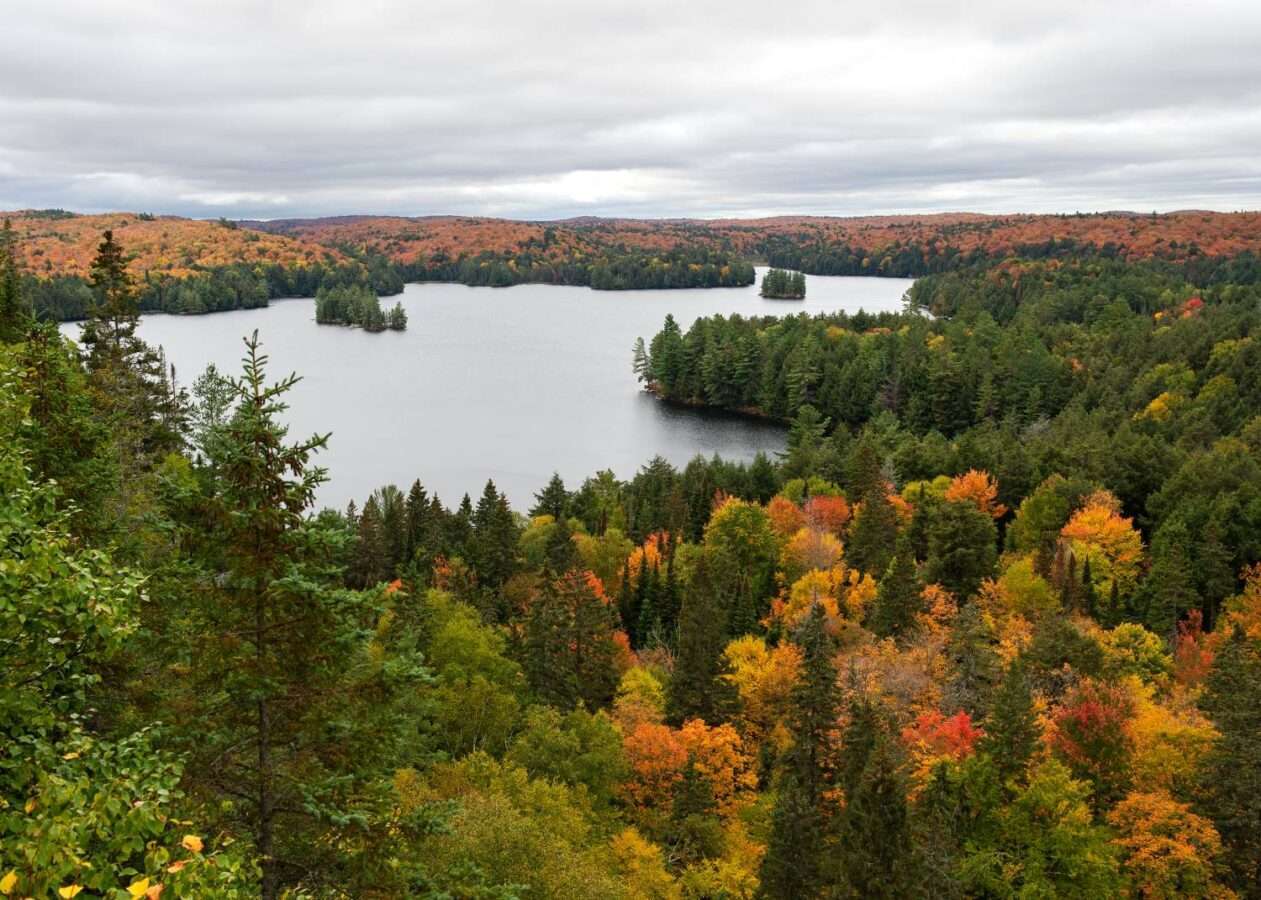 Track and tower trail algonquin outlet park