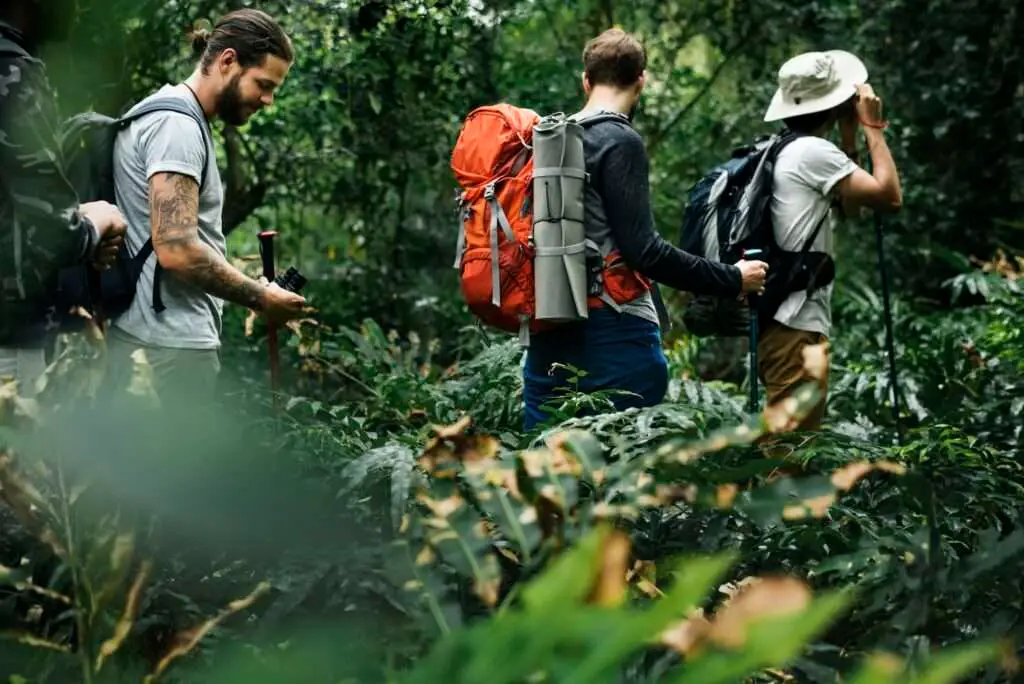 Hikers trekking in a forest together
