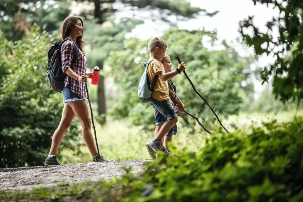 Mother and her little sons hiking trough forest.
